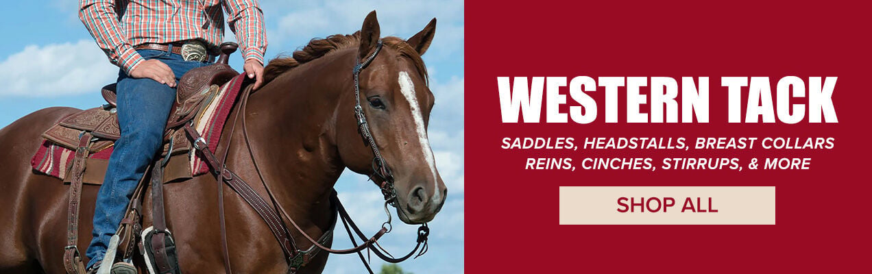 Western Tack: Saddles, Headstalls, Breast Collars, Reins, Cinches, Stirrups & More. Shop All.